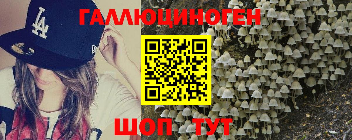 Псилоцибиновые грибы Psilocybine cubensis Узловая